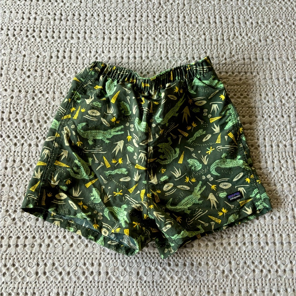 Patagonia Baggie Shorts